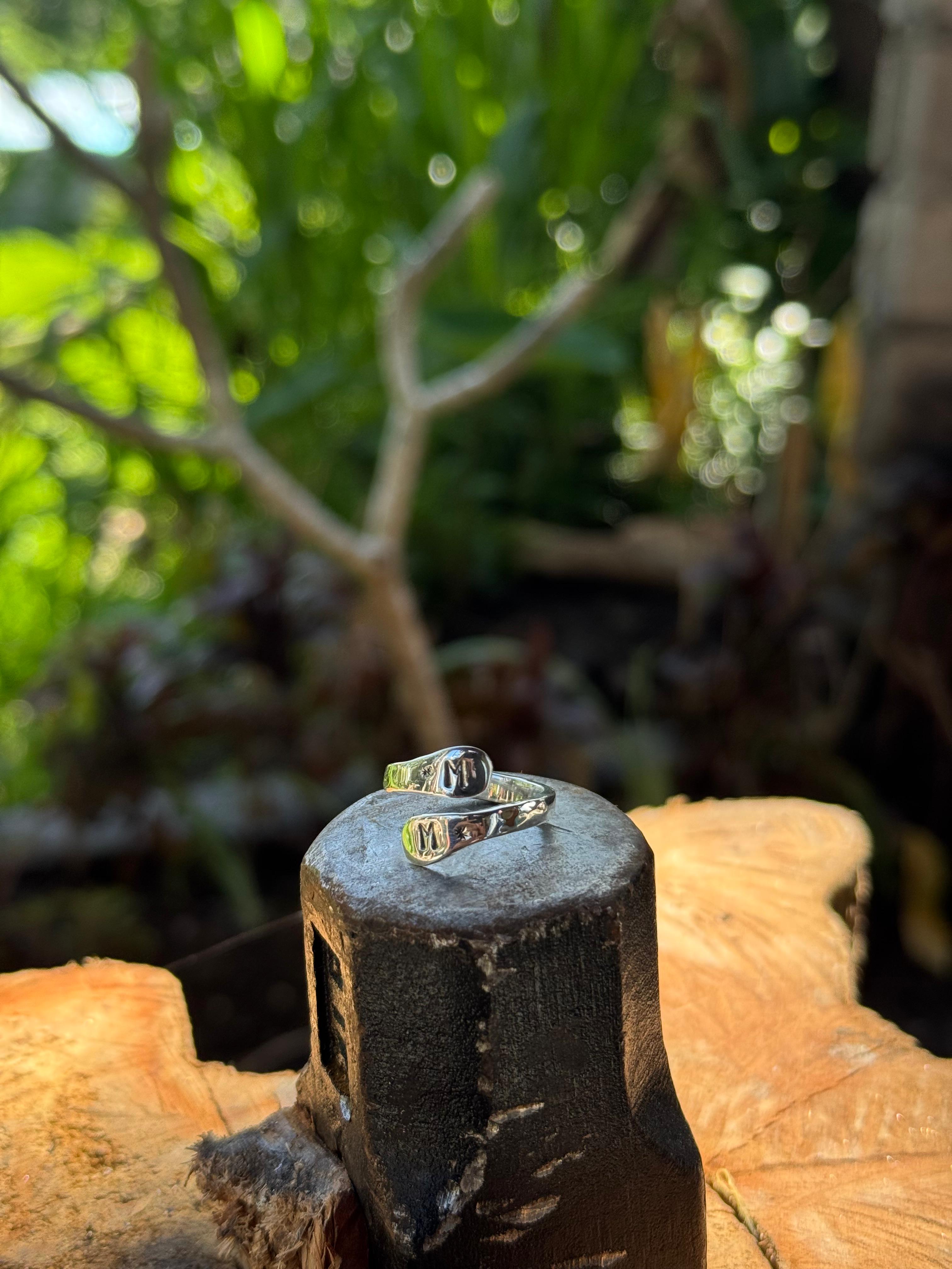 Description of image 3